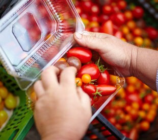 Hands packaging red and yellow tomatoes