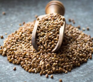 Buckwheat piled on a wooden spoon on a grey surface