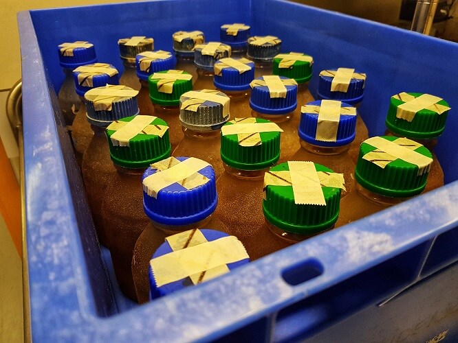 Media bottles ready for autoclaving