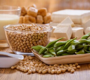 Soy bean, tofu and other soy products