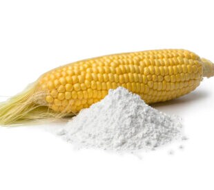 Fresh corn on the cob and a heap of white corn starch isolated on white background