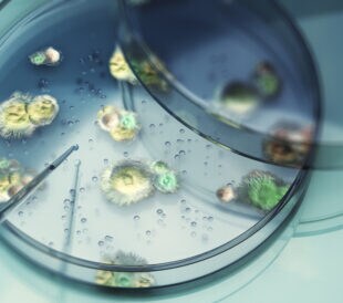 3d Render Testing Liquid from Glass Pipette to Moldy Fungi in Petri Dish on Reflective Background, Laboratory and Medical Concept (Depth Of Field)