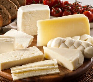 Different cheeses and dairy products