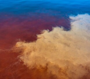 Illegal Dumping of Hazardous Chemicals into Malaysia River Caused Hundreds to be Sick
