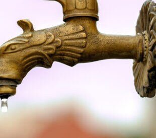 metal water faucet in the shape of a dragon