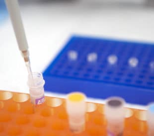 Checking-Your-T4-DNA-Ligase-Activity-title