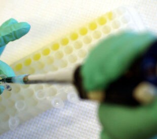 adhesion-of-DNA-title