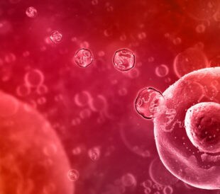basic-of-transfection-title