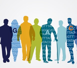 ジャポニカアレイ