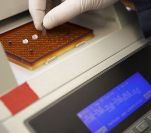 gcrich-pcr-title