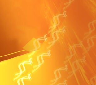 guidelines-and-optimizing-for-rna-transfection-title