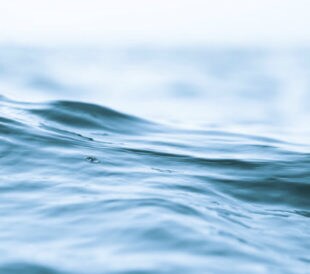 ion-analysis-in-solvent-title