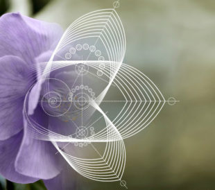 rnai-non-coding-rna-research-title