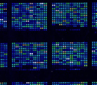 start-microarray-title