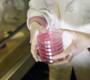 useful-numbers-for-cell-culture-title