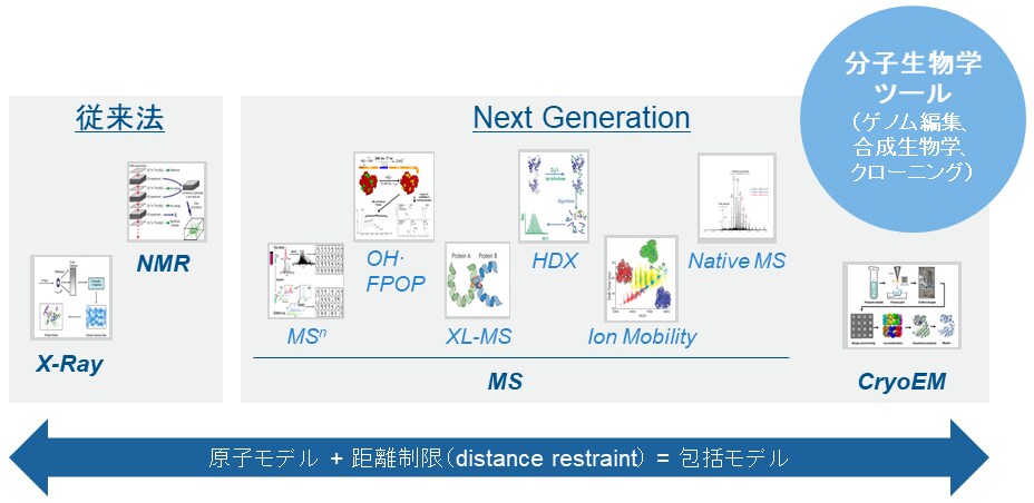 次世代構造生物学におけるワークフロー