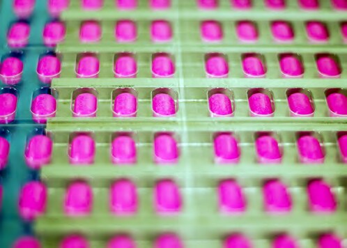メチルアミン等アミン類の分析に適したICメソッド