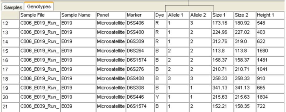 キャピラリー電気泳動