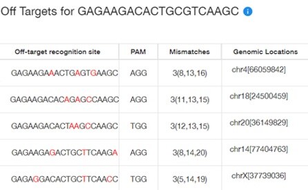 TrueDesign Genomic Editorオフターゲット配列の表示(2)