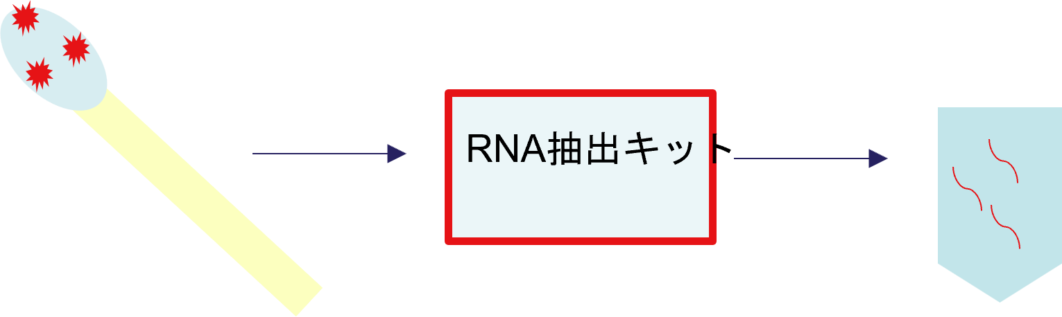RNA抽出イメージ図