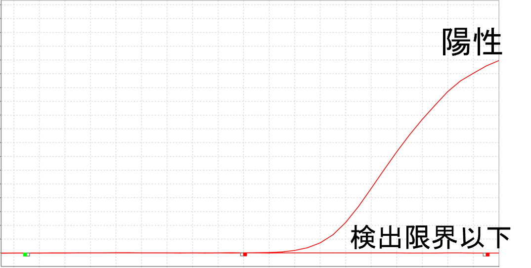 増幅イメージ図