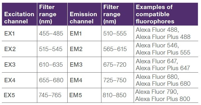 iBright FL1500 Systemの励起・蛍光フィルターとInvitrogen™ Alexa Fluor™蛍光色素の例