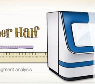 DNA fragment analysis
