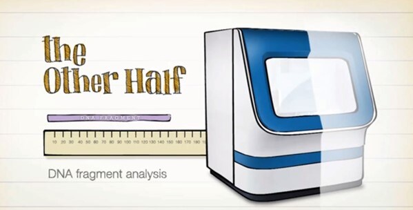 DNA fragment analysis
