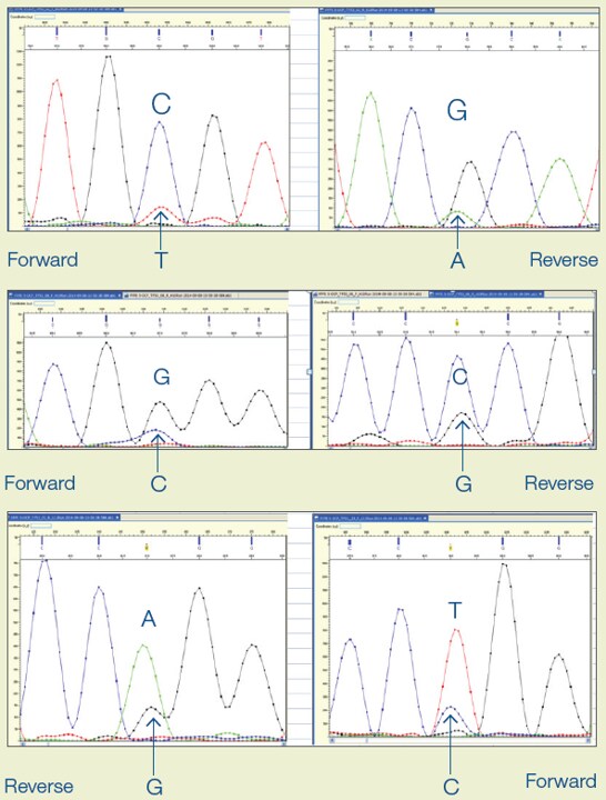 図1. サンガーシーケンスで検出した低頻度変異