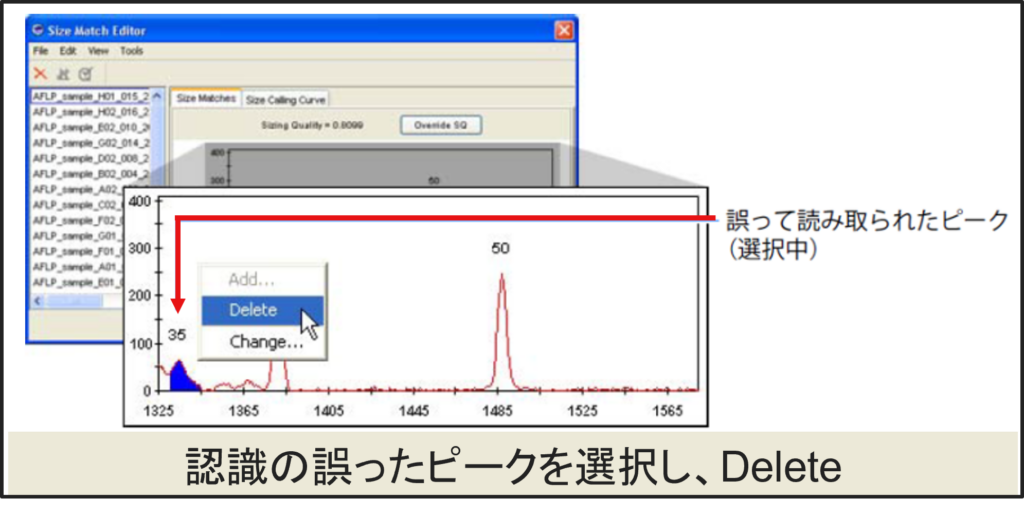 GeneMapperソフトウエア画面2