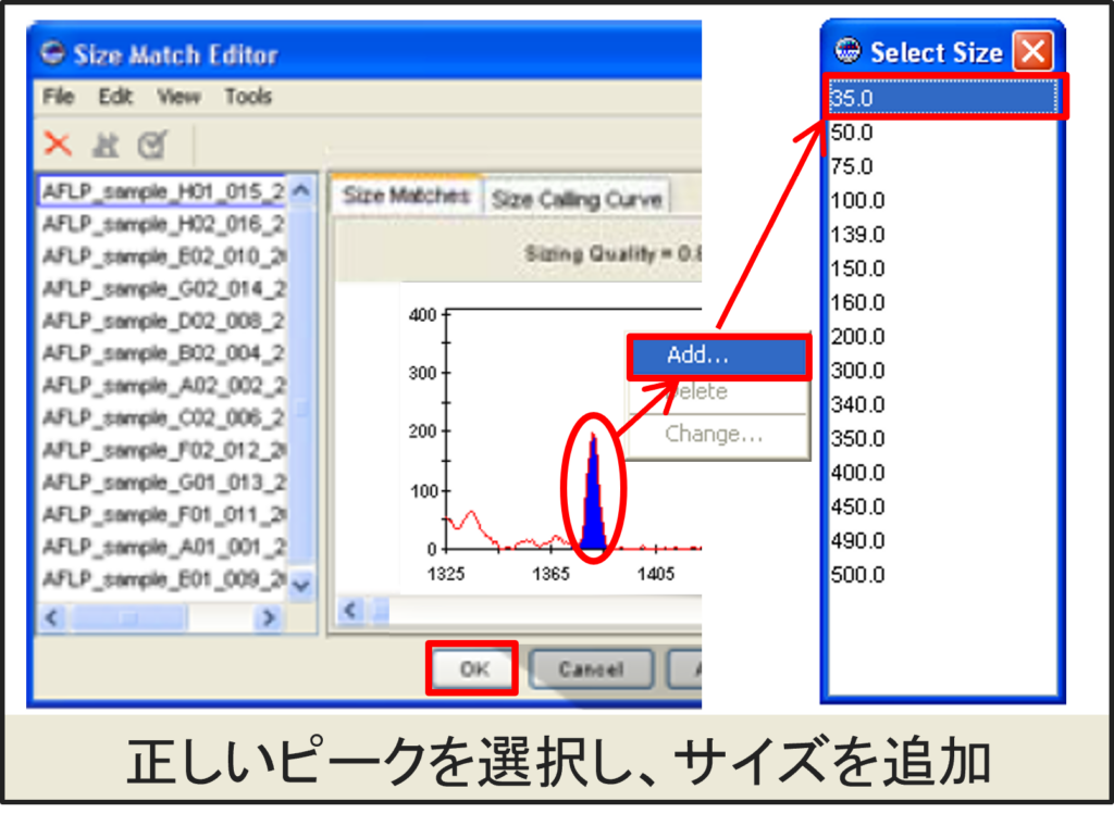 GeneMapperソフトウエア画面3