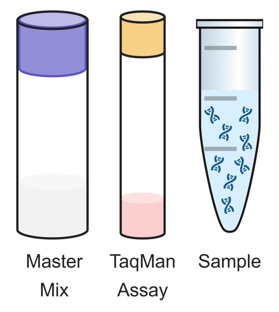 図2. 反応液の組成