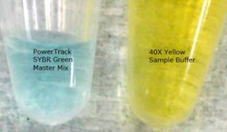それぞれ青と黄色の試薬を…