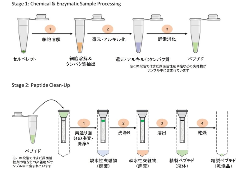 図3. EasyPepシリーズ使用の流れ※2