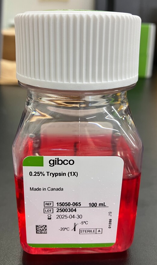 図1. Trypsin (0.25%), phenol red