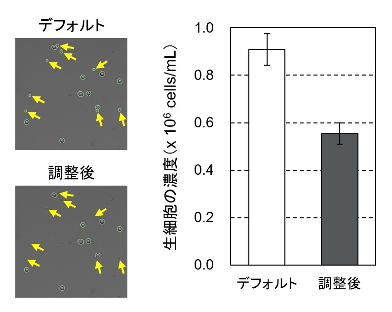 やってみた】細胞をTrypsinで処理しすぎてみた - Learning at the Bench