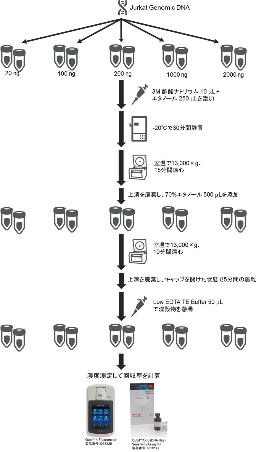 図1. エタノール沈殿操作の概要