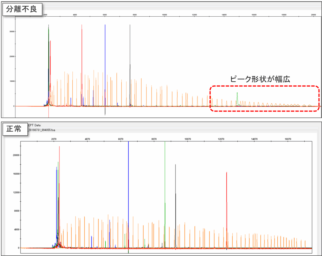 GeneScan 1200 LIZ Rawデータ例 上段:分離不良発生時、下段:正常時