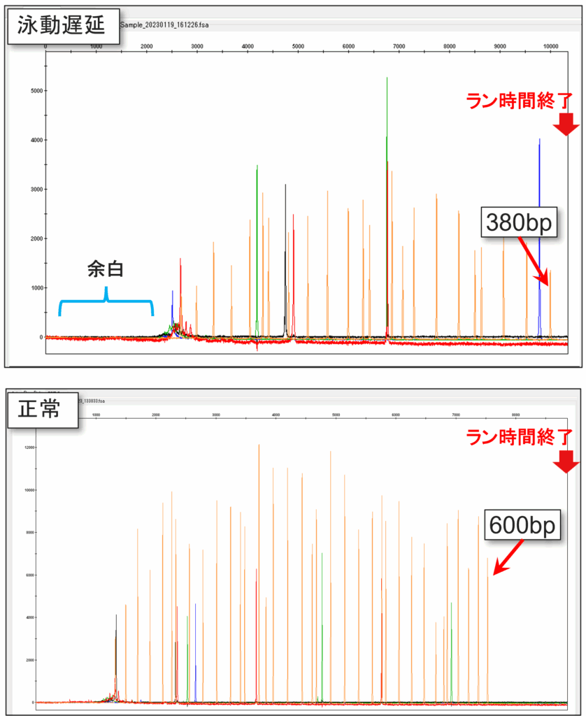 GeneScan 600 LIZ Rawデータ例 上段:泳動遅延発生時、下段:正常時