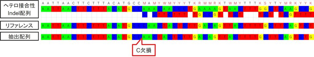 ツールを用いたIndel解析結果
