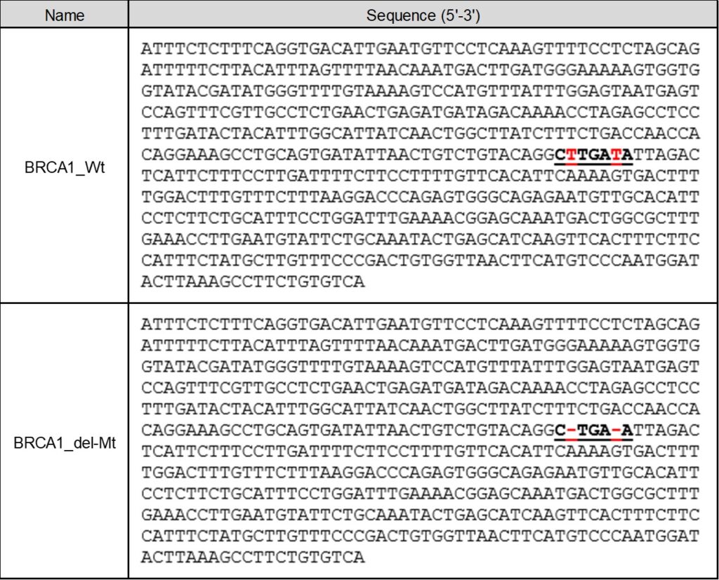 表1 DNAサンプルの塩基配列 BRCA1_Wt:野生型、BRCA1_del-Mt:変異型、赤字:欠損変異箇所(BRCA1_del-Mtでは、BRCA1_Wtの2か所のTが欠損)