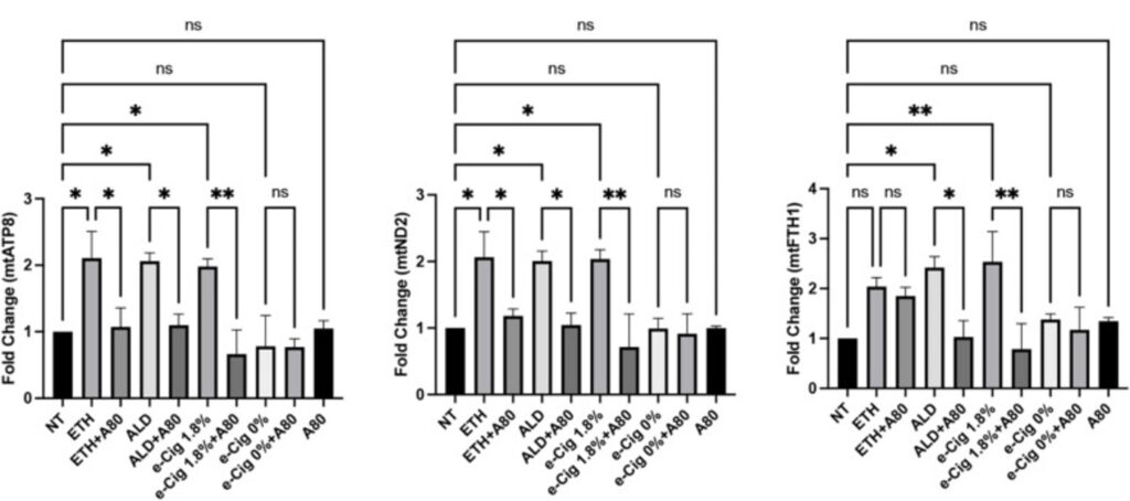 Absolute QデジタルPCRシステムによるミトコンドリアDNAの定量