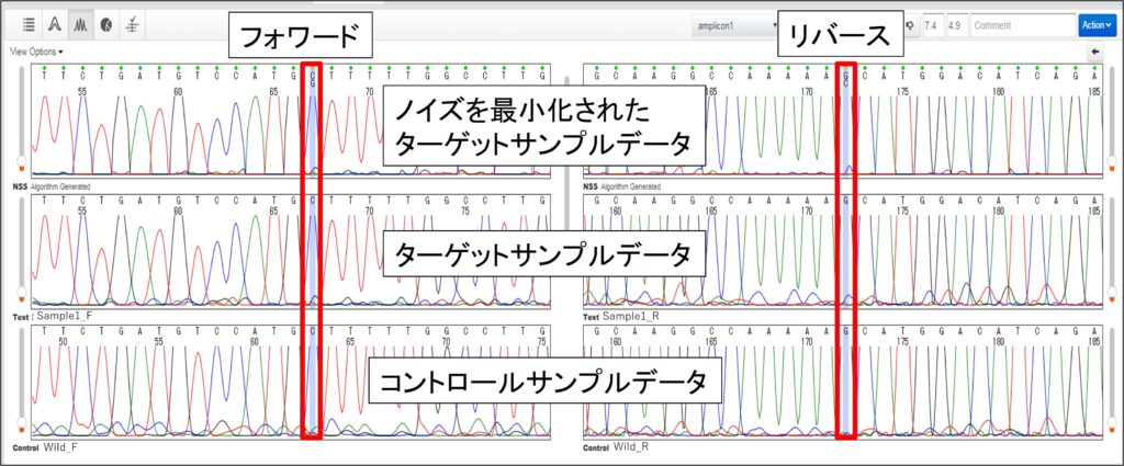 図4. Minor Variant Finderソフトウエアでの解析結果:波形データの確認