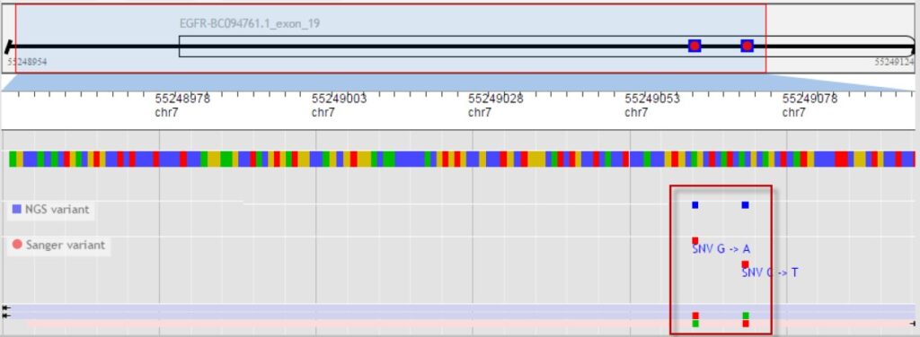 図3. Minor Variant Finderソフトウエアでの解析結果