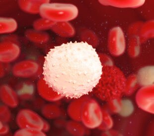 Red and white blood cells