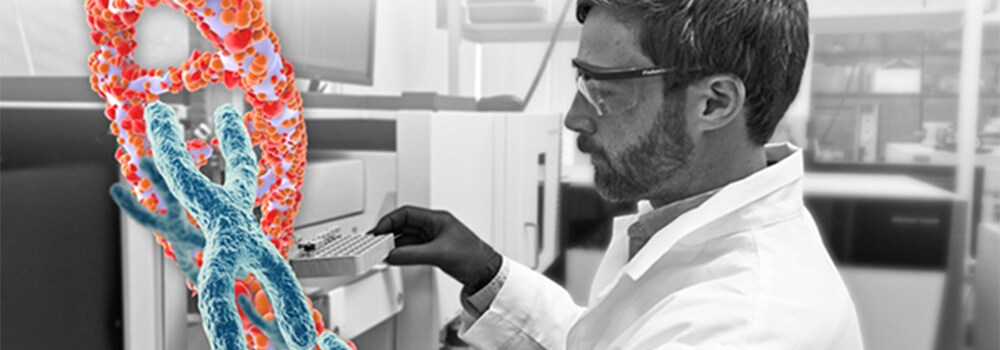 Scientist in the lab