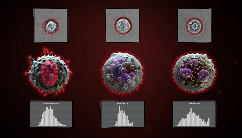 The Attune CytPix features a novel software that uses machine-learning technology to automatically detect objects in an image, along with morphology differences within the cell population. 