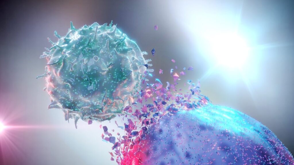 Digital illustration depicting the concept of an activated natural killer cell triggering the lysis of a cancer cell. Engineered NK cells are the foundation of CAR NK therapy.
