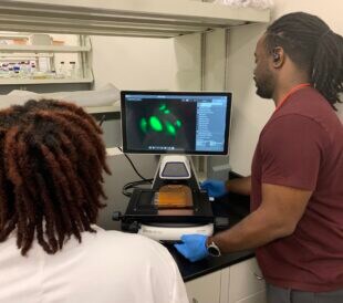 Ph.D. student Arianna Ferguson and cancer researcher Dr. Glenn Simmons view GFP-tagged protein expression in lung cancer cells using the EVOS M5000 Imaging System they received from a 2022 Thermo Fisher Scientific Cancer Research Grant.