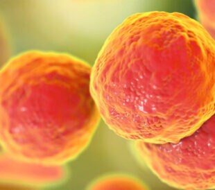 Revolutionizing Mycoplasma Testing for Biopharmaceutical Manufacturing